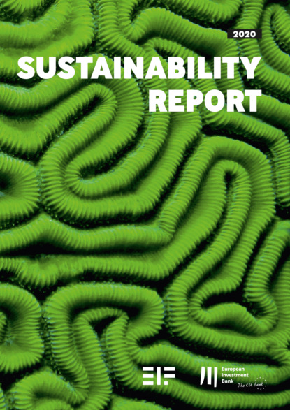 Группа авторов - European Investment Bank Group Sustainability Report 2020