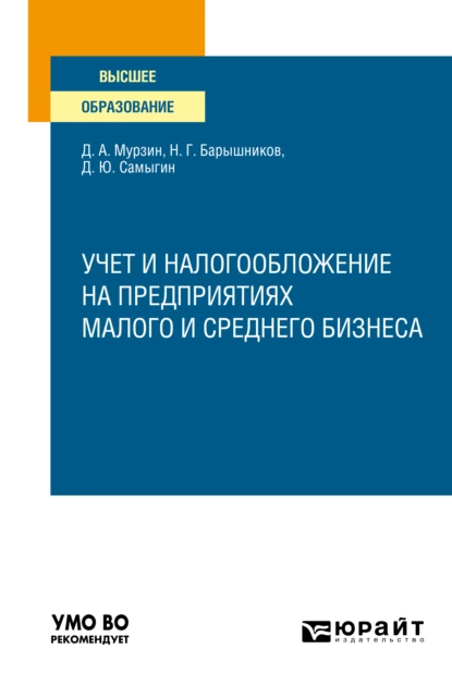 Обложка книги учет и налогообложение на предприятиях малого и среднего бизнеса. Учебное пособие для вузов, Денис Александрович Мурзин