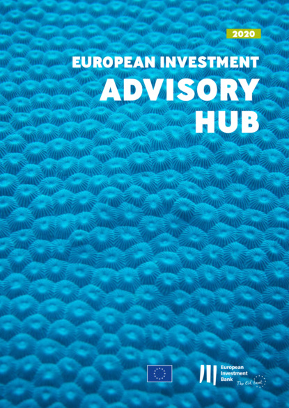 Группа авторов - European Investment Advisory Hub Report 2020