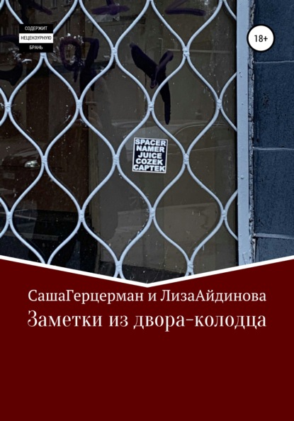 

Заметки из двора-колодца