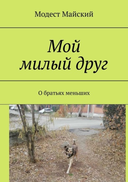 

Мой милый друг. О братьях меньших