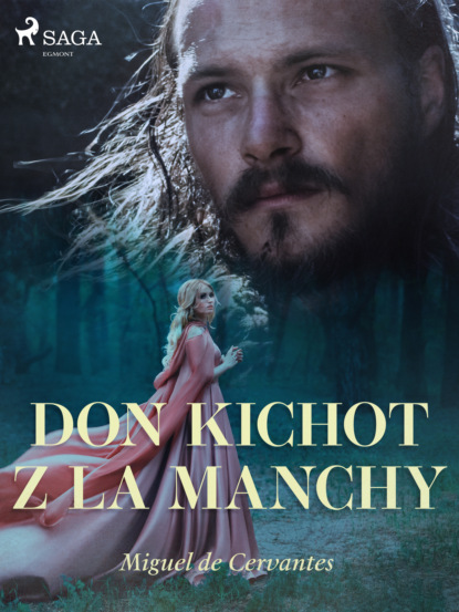 

Don Kichot z La Manchy