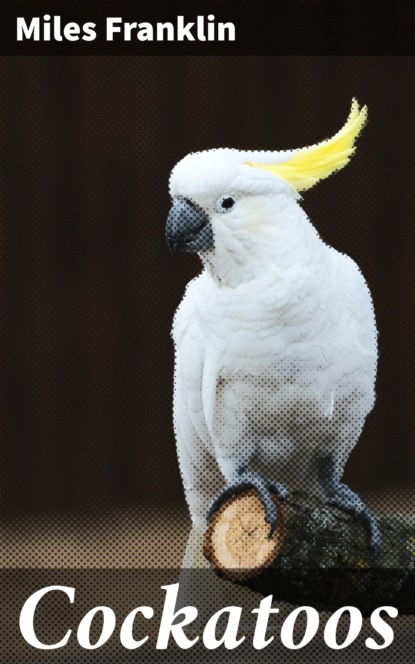 

Cockatoos