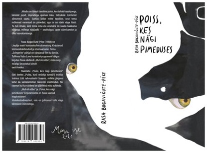 

Poiss, kes nägi pimeduses