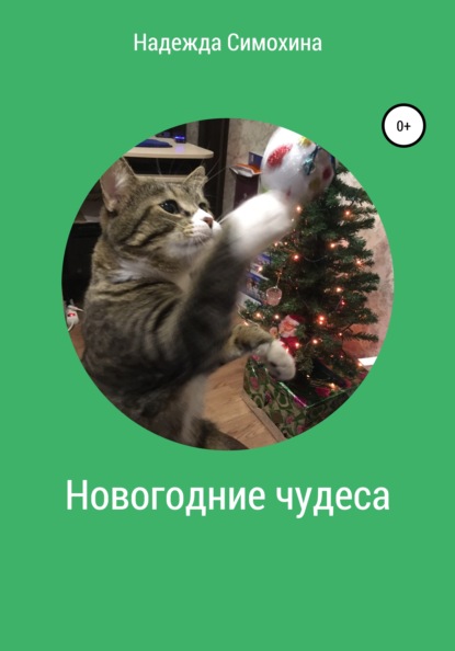 

Новогодние чудеса