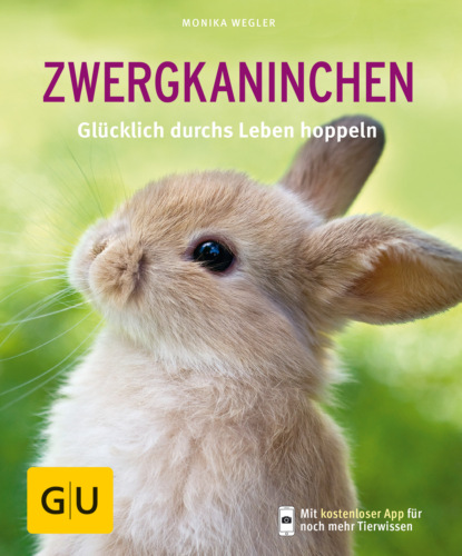 

Zwergkaninchen