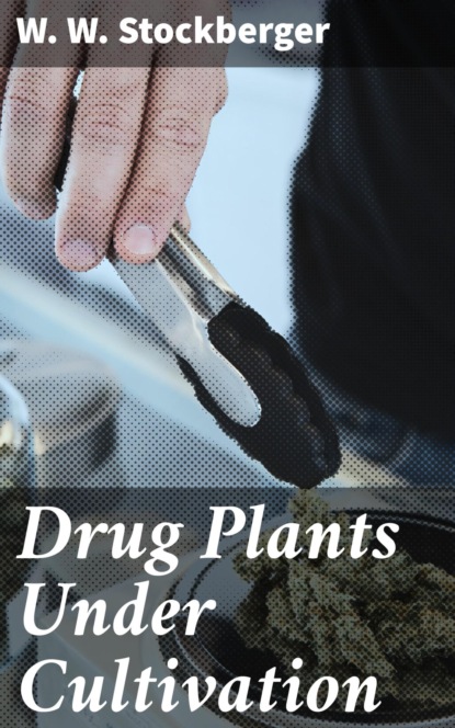 

Drug Plants Under Cultivation