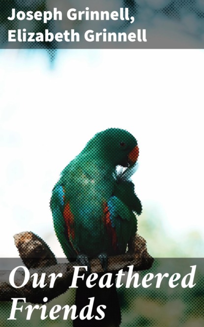 

Our Feathered Friends