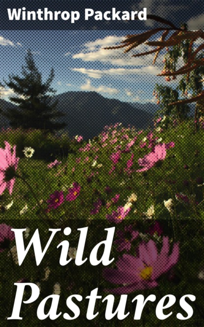 

Wild Pastures