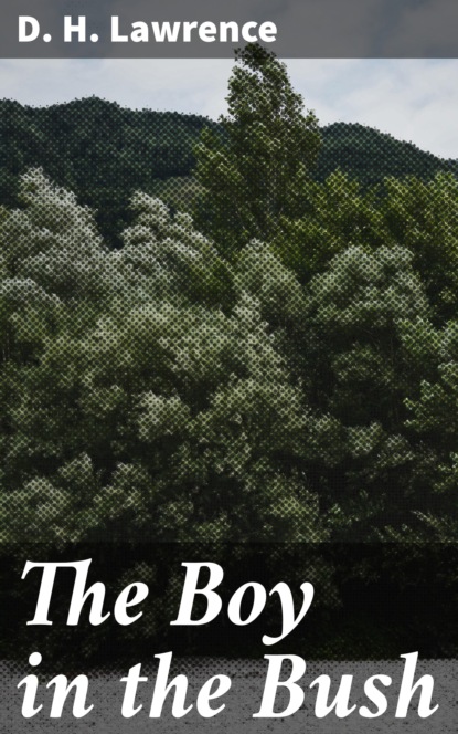 

The Boy in the Bush