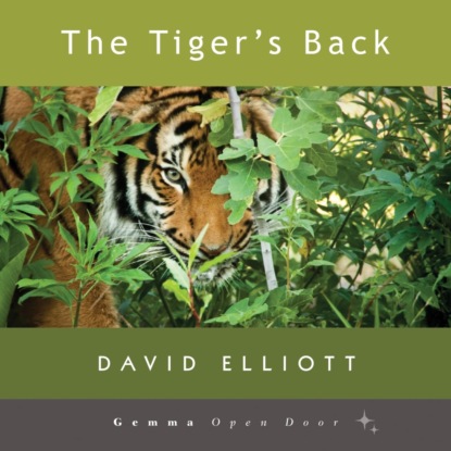 The Tiger s Back (Unabridged)