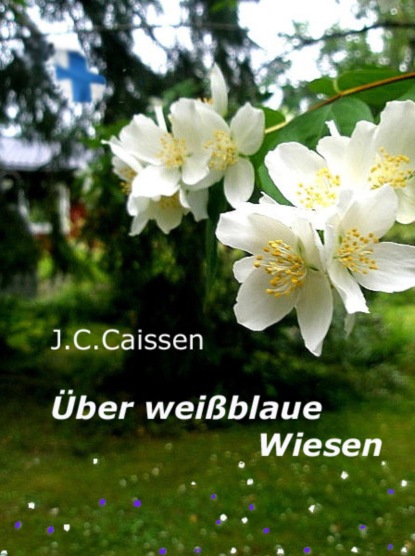 Über weißblaue Wiesen (J.C. Caissen). 