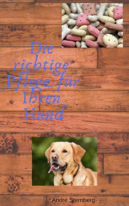 Die richtige Pflege für Ihren Hund (André Sternberg). 