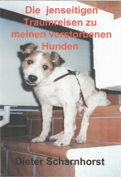 Die jenseitigen Traumreisen zu meinen verstorbenen Hunden (Dieter Scharnhorst). 