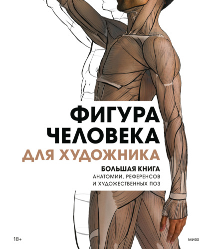 Фигура человека для художника. Большая книга анатомии, референсов и художественных поз (3dtotal Publishing). 