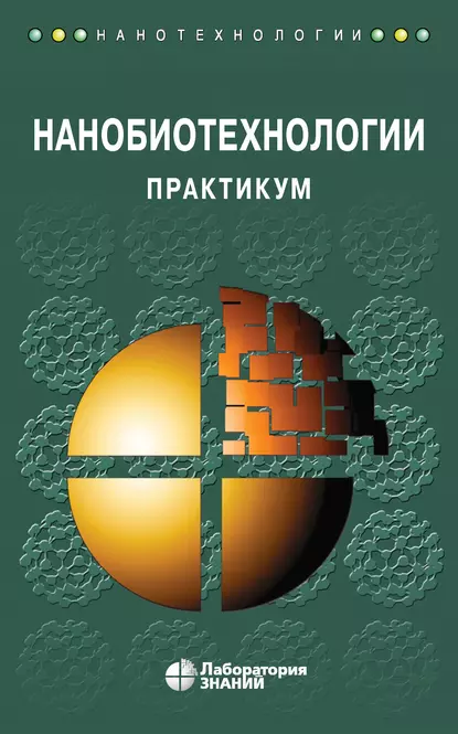 Обложка книги Нанобиотехнологии. Практикум, Андрей Борисович Рубин