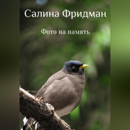 Аудиокнига Фото на память ISBN 