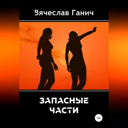 Аудиокнига Вячеслав Ганич - Запасные части