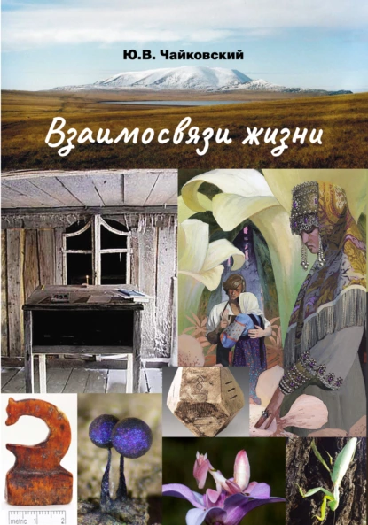 Обложка книги Взаимосвязи жизни. Мини-энциклопедия дополняет. Том 2. Р – Я и добавочные сведения, Ю. В. Чайковский