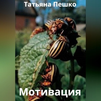 Аудиокнига Мотивация ISBN 