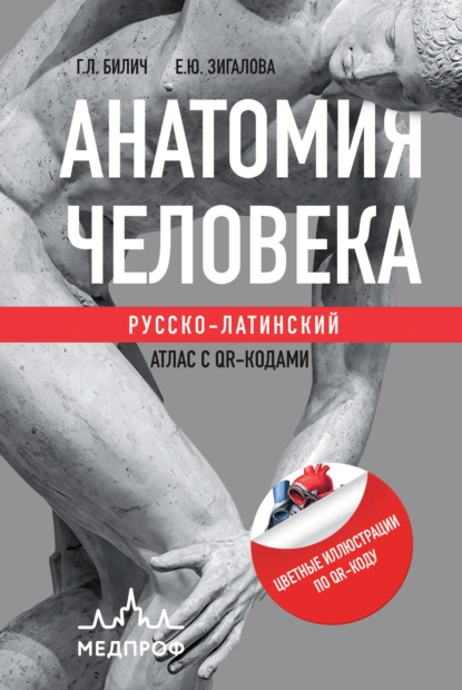 Обложка книги Анатомия человека. Русско-латинский атлас с QR-кодами, Г. Л. Билич