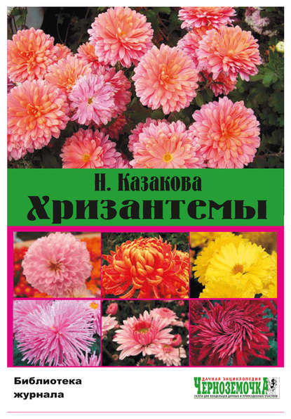 Н. Казакова — Хризантемы