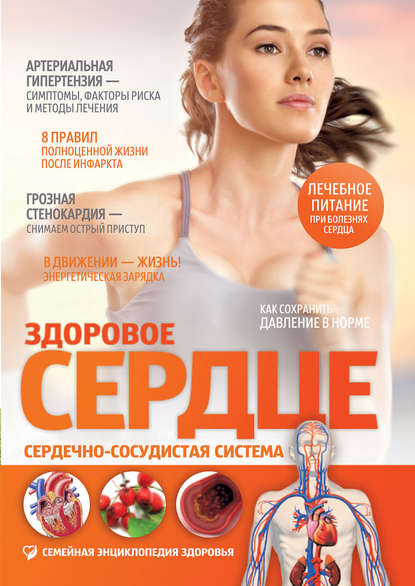 

Здоровое сердце. Сердечно-сосудистая система