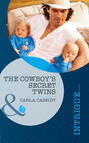 The Cowboy\'s Secret Twins