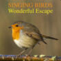 Singing Birds -Wonderful Escape (Nature Sounds To Reduce Stress And Well Being)