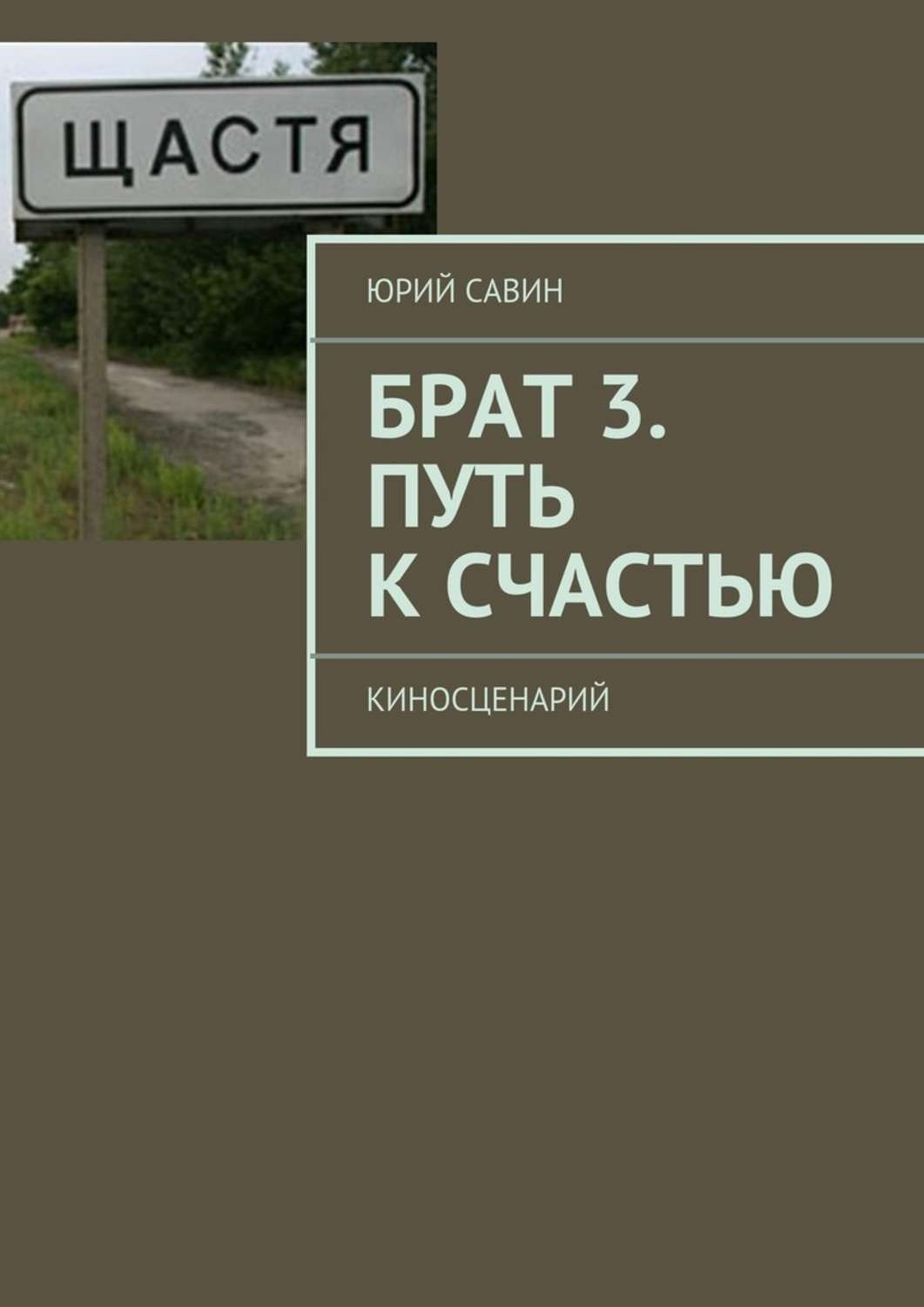 Книги брат обычно. Брат 3. Путь брата книга. Брат 3 обложка. Брат 3 сценарий.