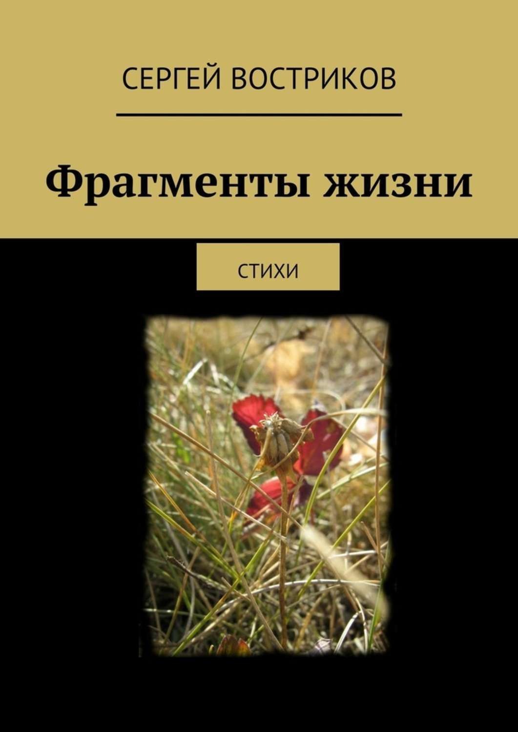 Фрагменты жизни. ФРАГМЕНТЫ из жизни. Востриков поэт стихи. Кусок жизни.