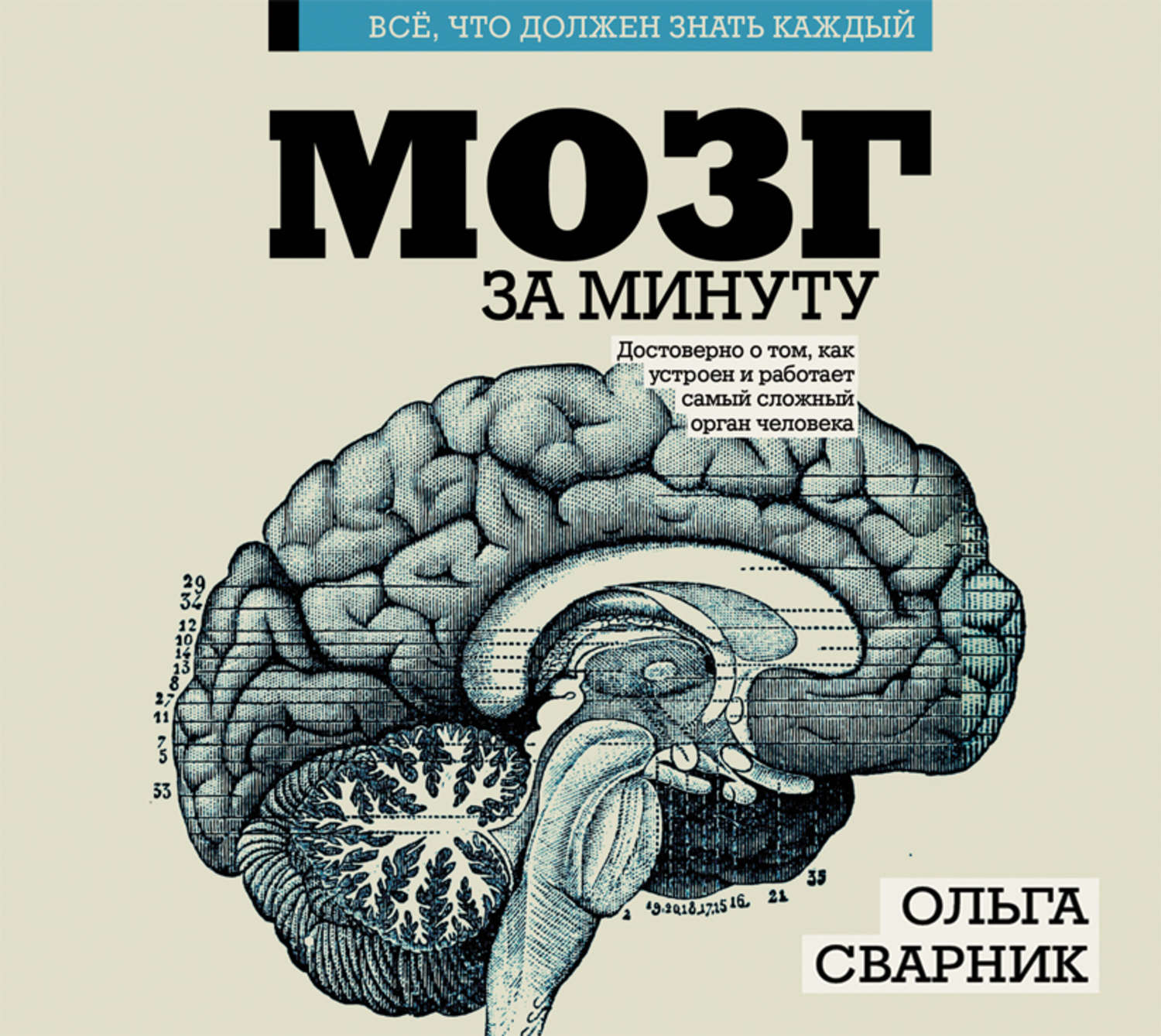 Жизнь мозга читать. Книга мозг. Мозг психология. Книга про мозг человека. Сложные книги.