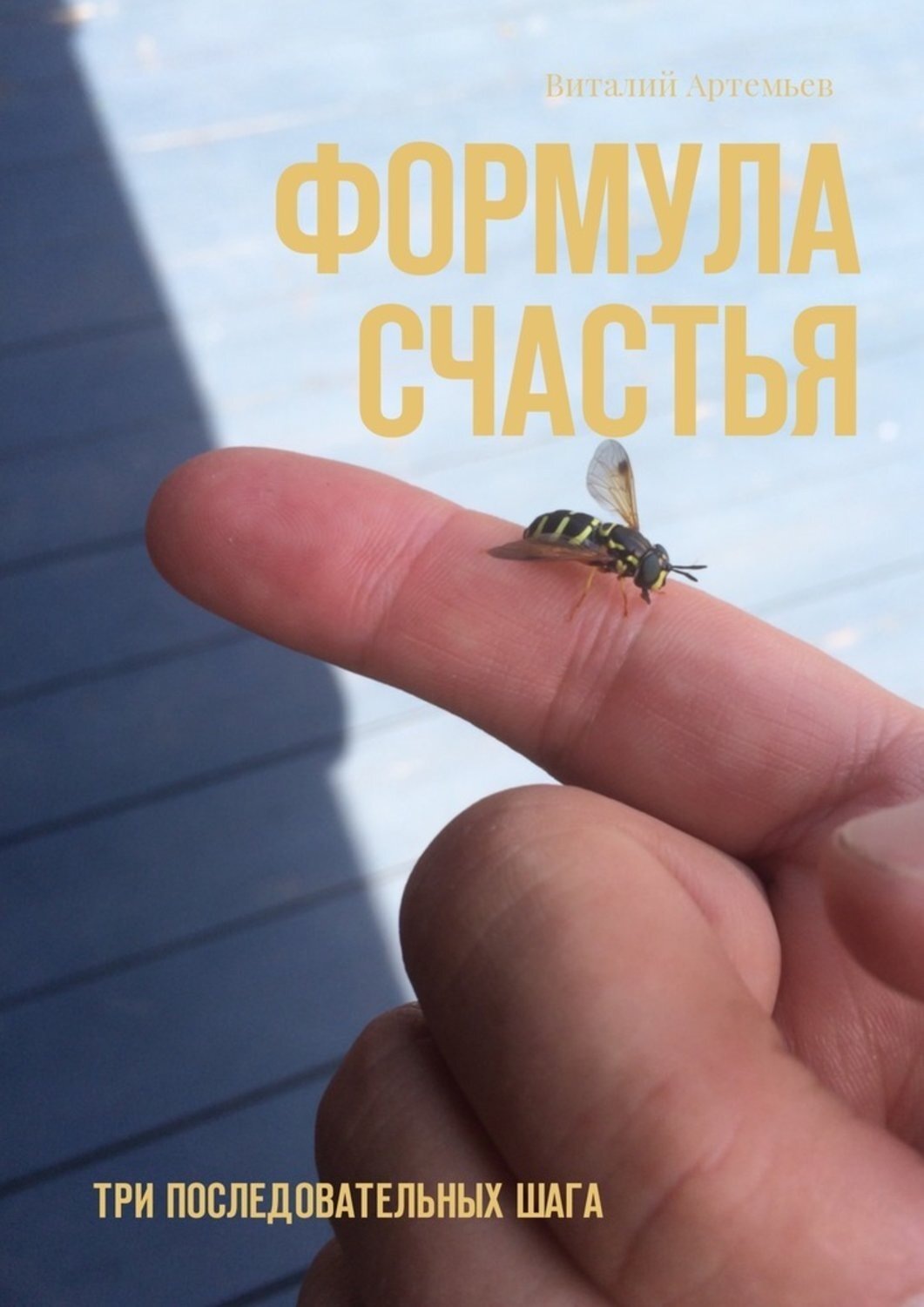 Формула Счастья Книга Купить