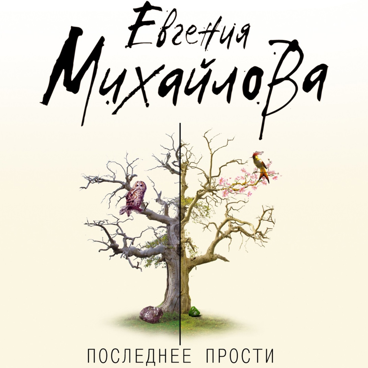 Последнее прости. Книги Евгении Михайловой. Писатель Евгения Михайлова. Последнее прости Михайлова. Евгения Михайлова жизнь вопреки.