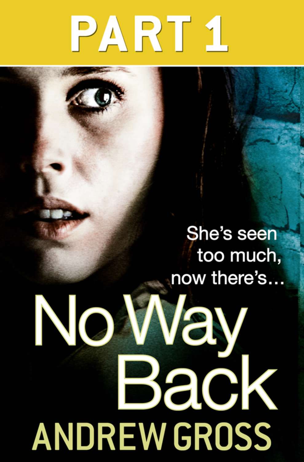 no-way-back-part-1-of-3-andrew-gross-fb2-epub-pdf