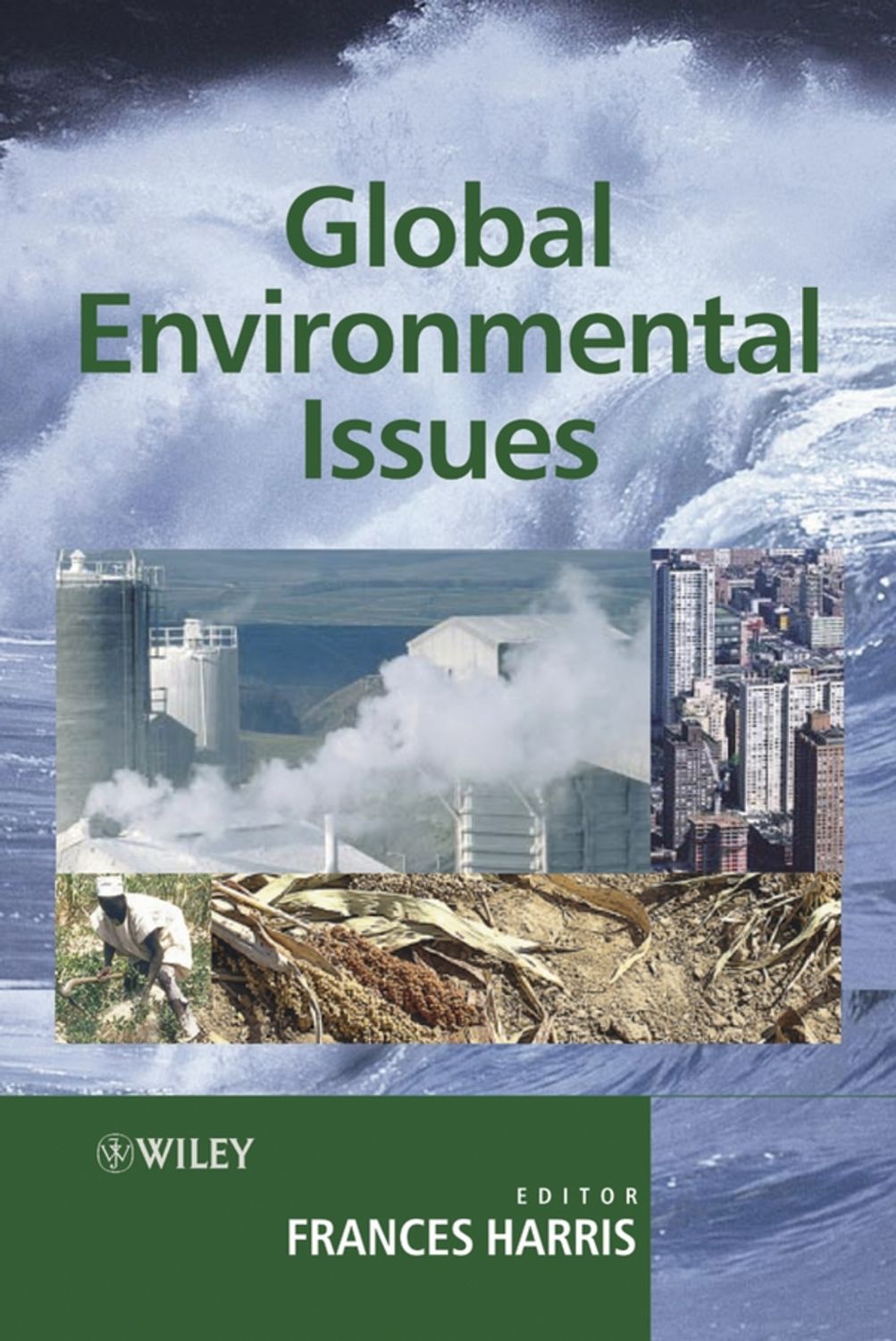 Global issues презентация. Global Environmental Issues. Environmental Issues.