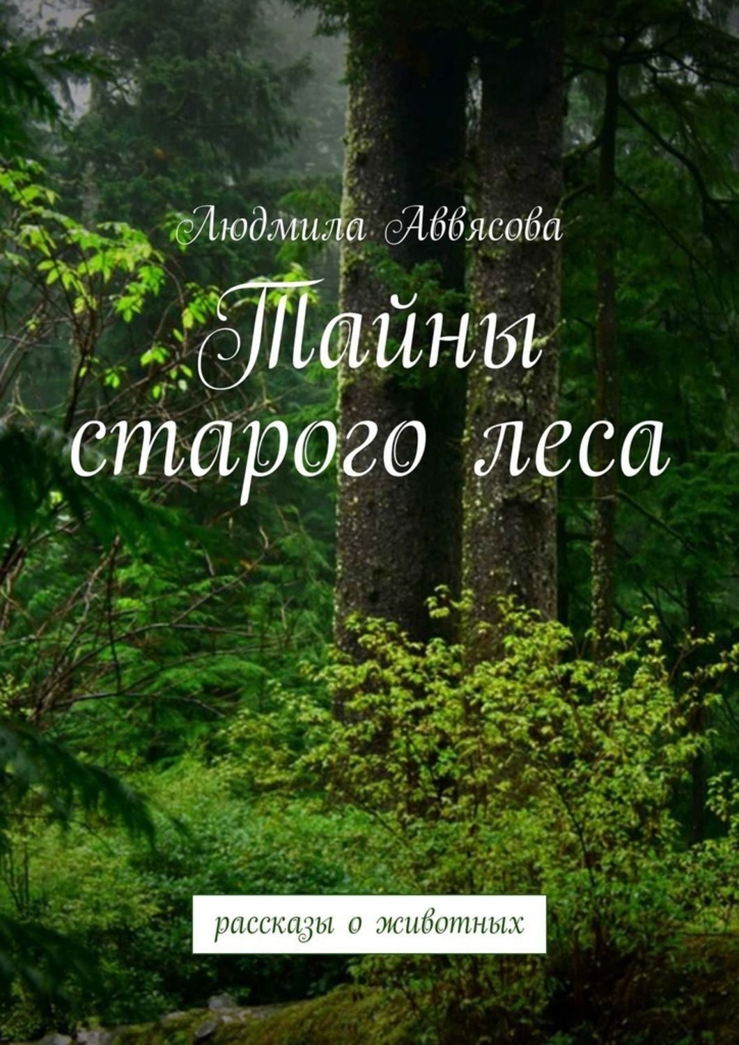 Линцесса тайны леса отзывы. Тайны старого леса. Тайна старого леса книга. Тайны леса книга. Тайны старого леса Таро.