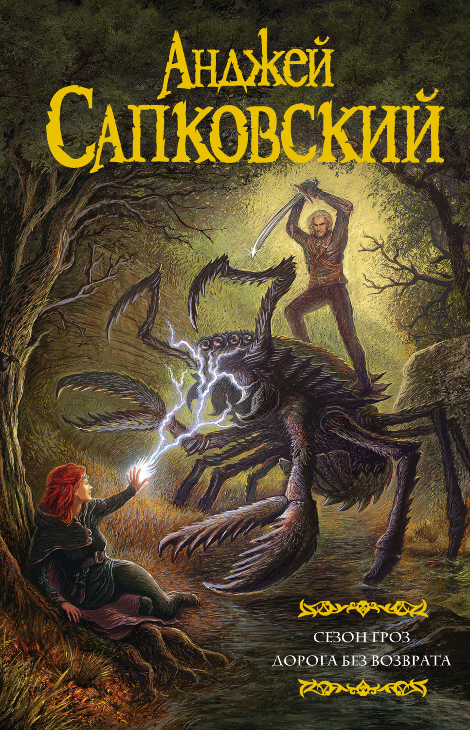 Анджей Сапковский книга Сезон гроз. Дорога без возврата – скачать fb2 ...
