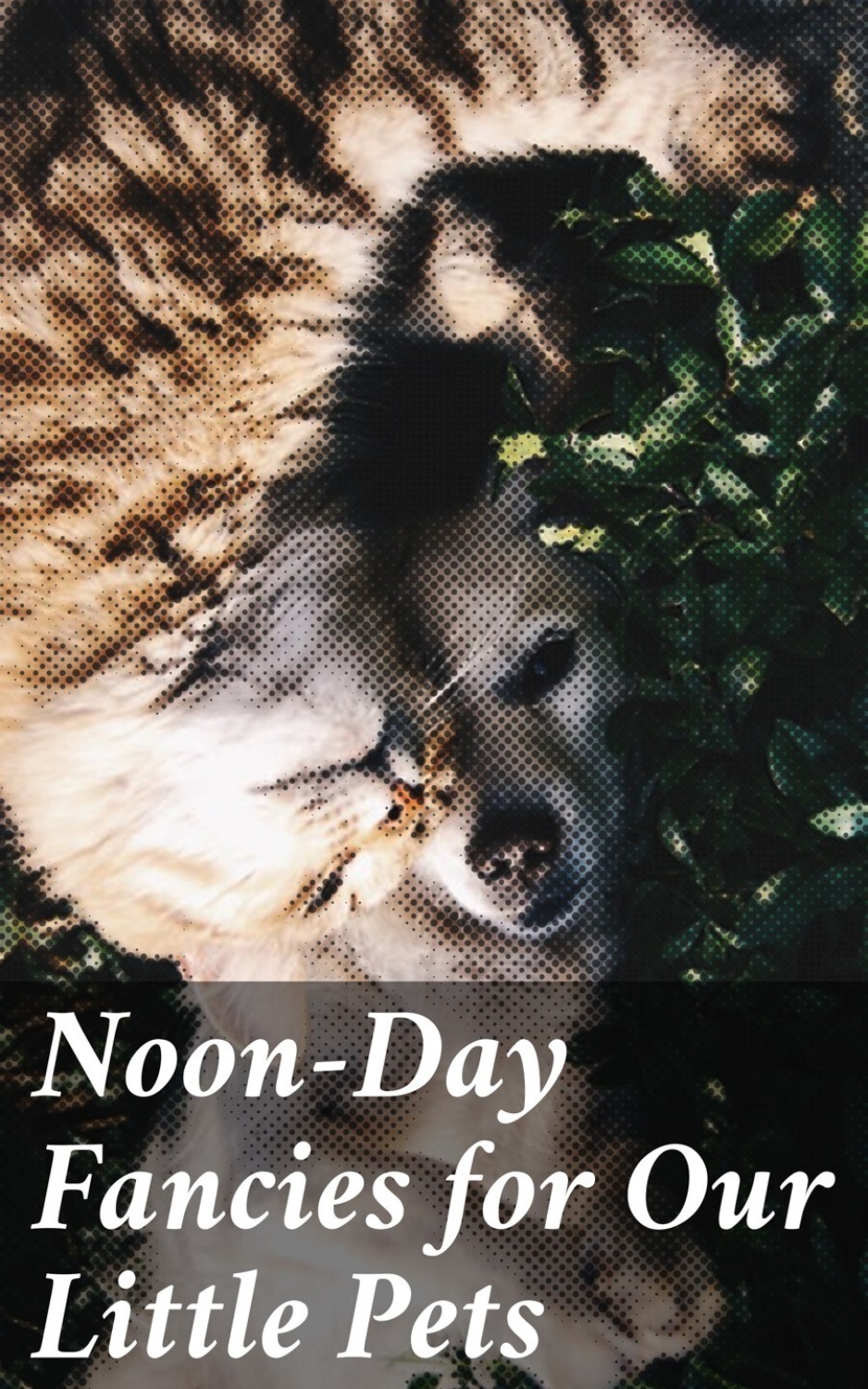 Noon day