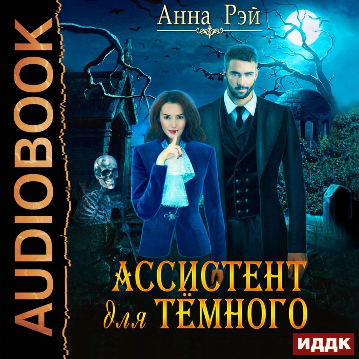 Аудиокниги триллеры. Ассистент для темного Анна Рэй. Ассистент для тёмного Анна Рэй книга. Принц тёмных улиц Анна Рэй книга. Ассистент для темного аудиокнига.