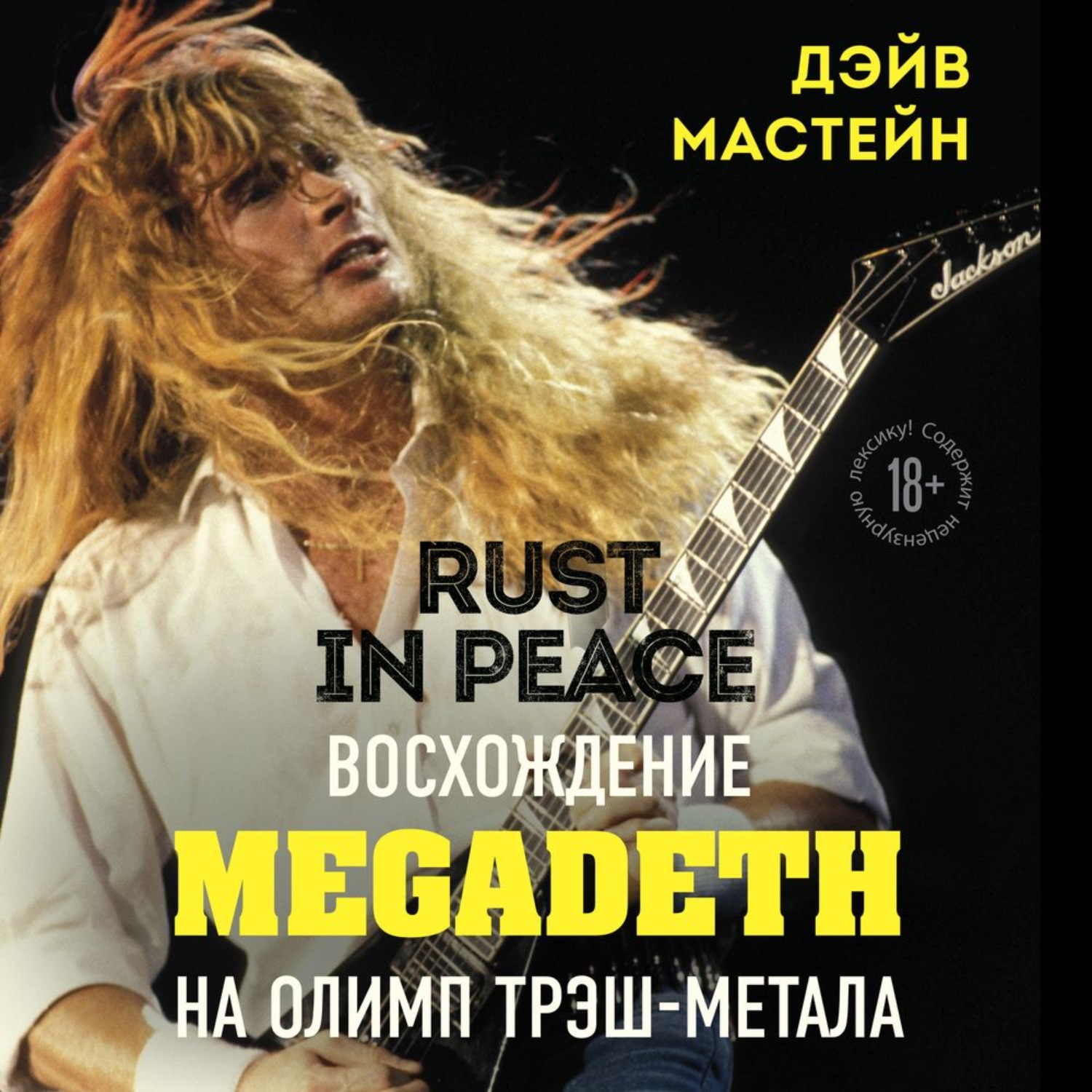 Megadeth rust in peace скачать альбом бесплатно фото 117