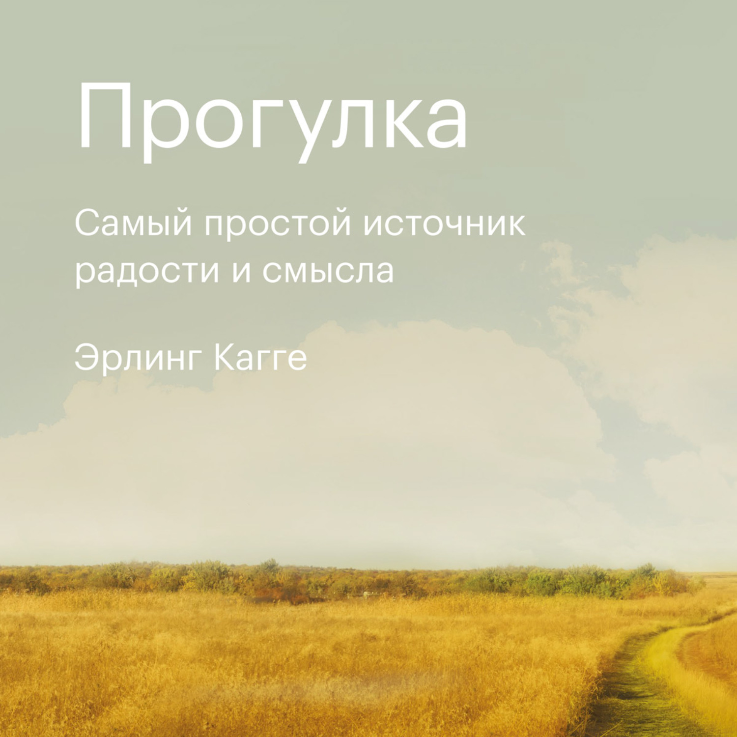 Книга прогулка. Эрлинг Кагге прогулка. Прогулка самый простой источник радости и смысла Эрлинг Кагге. Кагге прогулка книга. Книга прогулка самый простой источник радости и смысла.