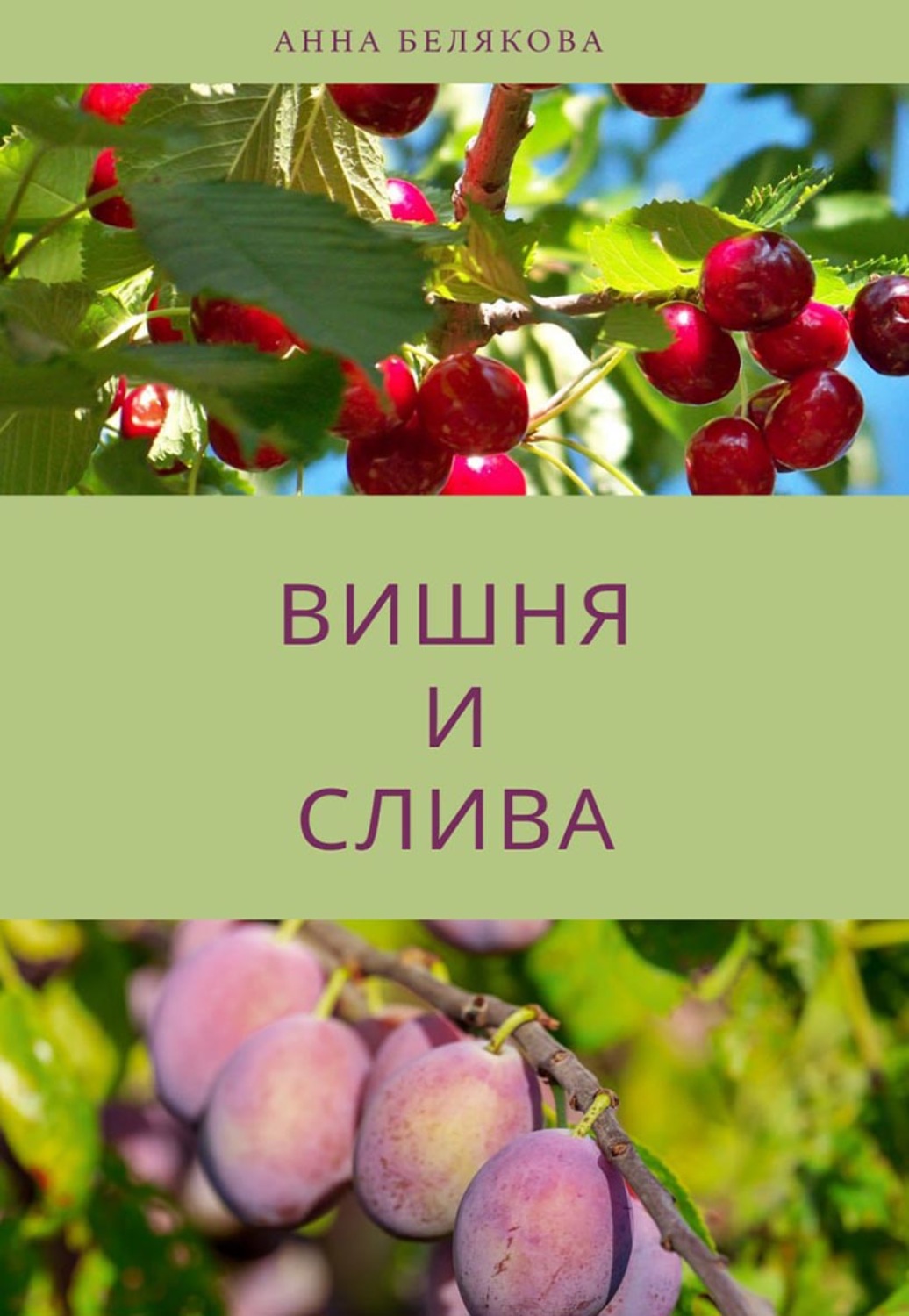 вишня книга фанфиков фото 10