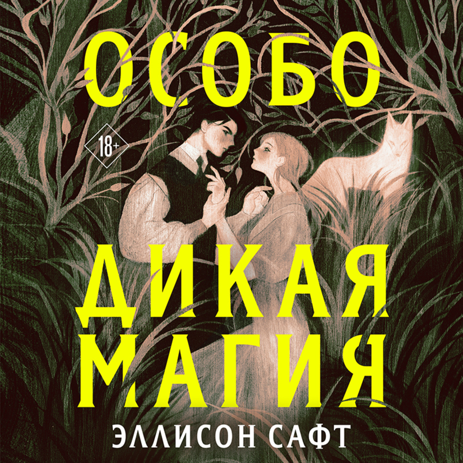 Аудиокнига янг. Особо Дикая магия Эллисон сафт. Особо Дикая магия книга. Джуд Фишер "Дикая магия". Дикая магия обложки книги.