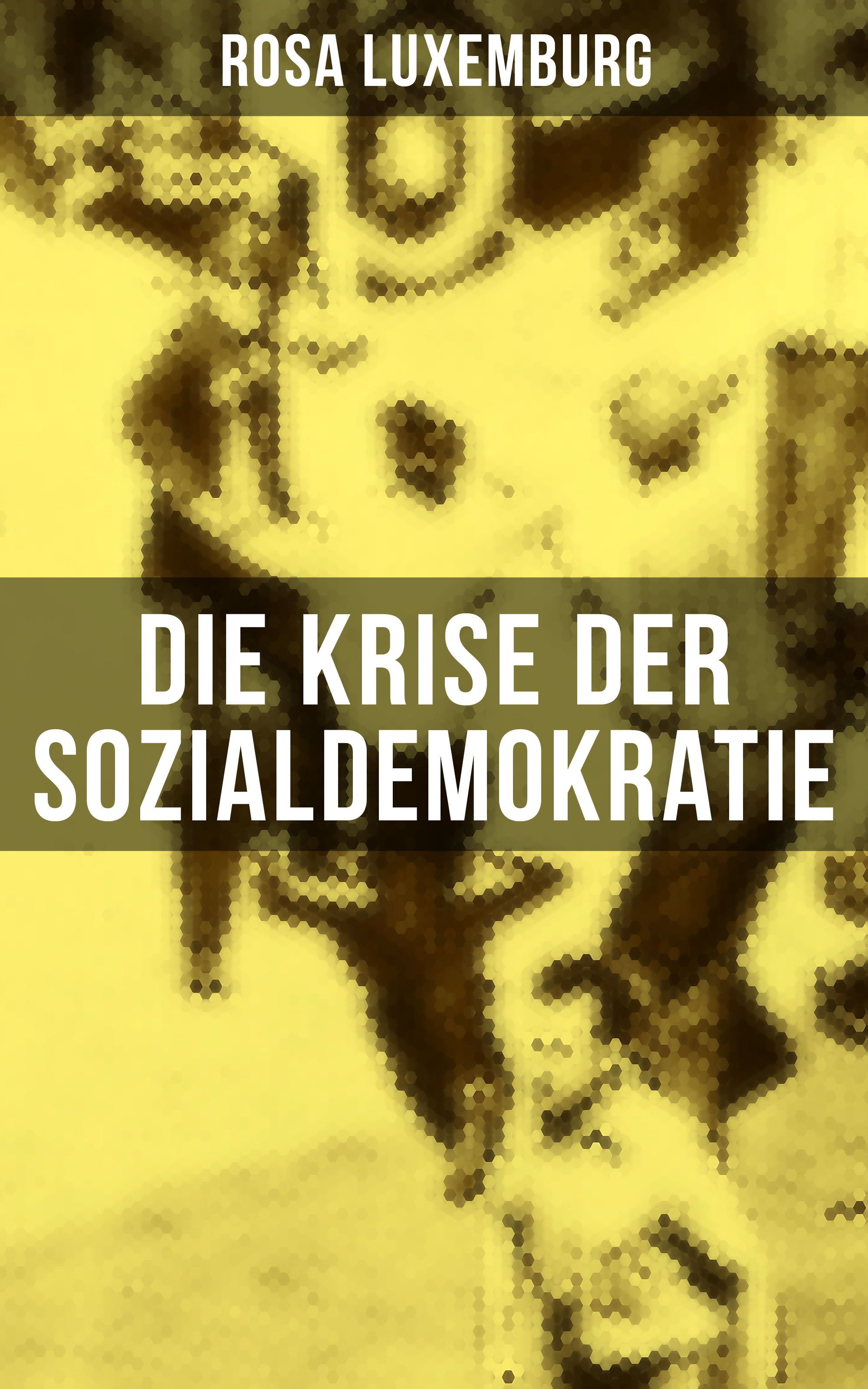 Die Krise Der Sozialdemokratie / Sozialismus Oder Barbarei? + Das ...