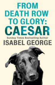 From Death Row To Glory: Caesar