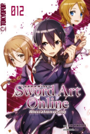 Sword Art Online Novel - Band 12