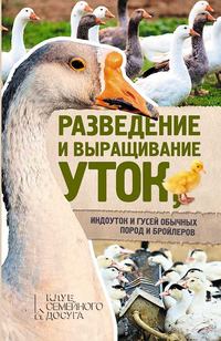Доклад: Выращивание мускусной утки в домашних условиях