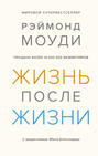 О чем книга жизнь после жизни. Смотреть фото О чем книга жизнь после жизни. Смотреть картинку О чем книга жизнь после жизни. Картинка про О чем книга жизнь после жизни. Фото О чем книга жизнь после жизни