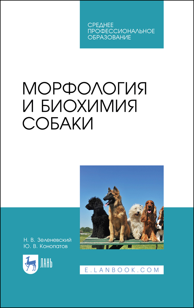 Морфология и биохимия собаки